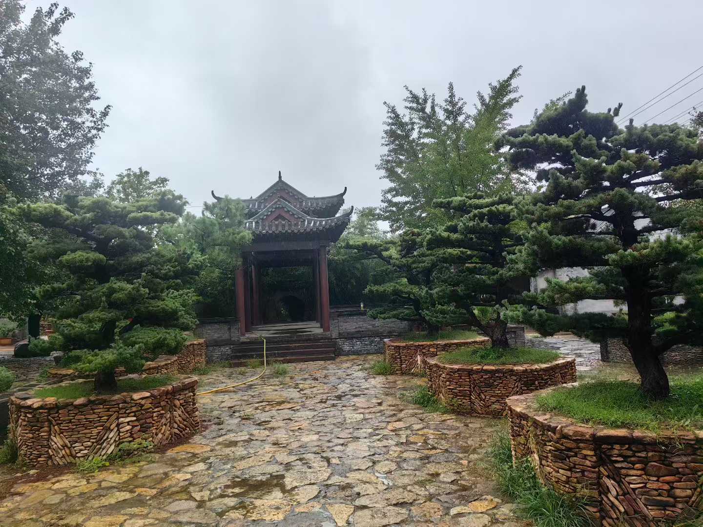 微信图片_2025-09-27_085944_464.jpg
