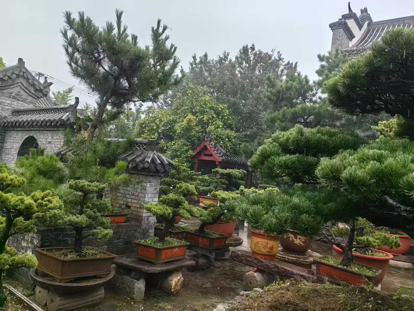 微信图片_2025-09-27_085753_736.jpg