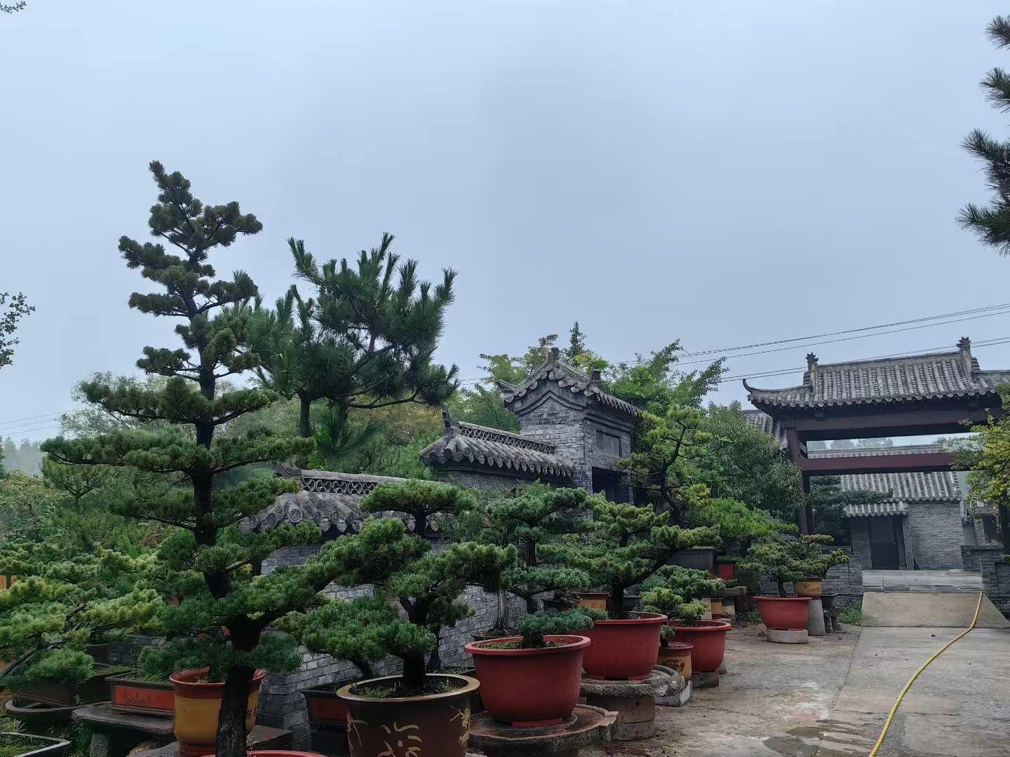 微信图片_2025-09-27_090005_184.jpg