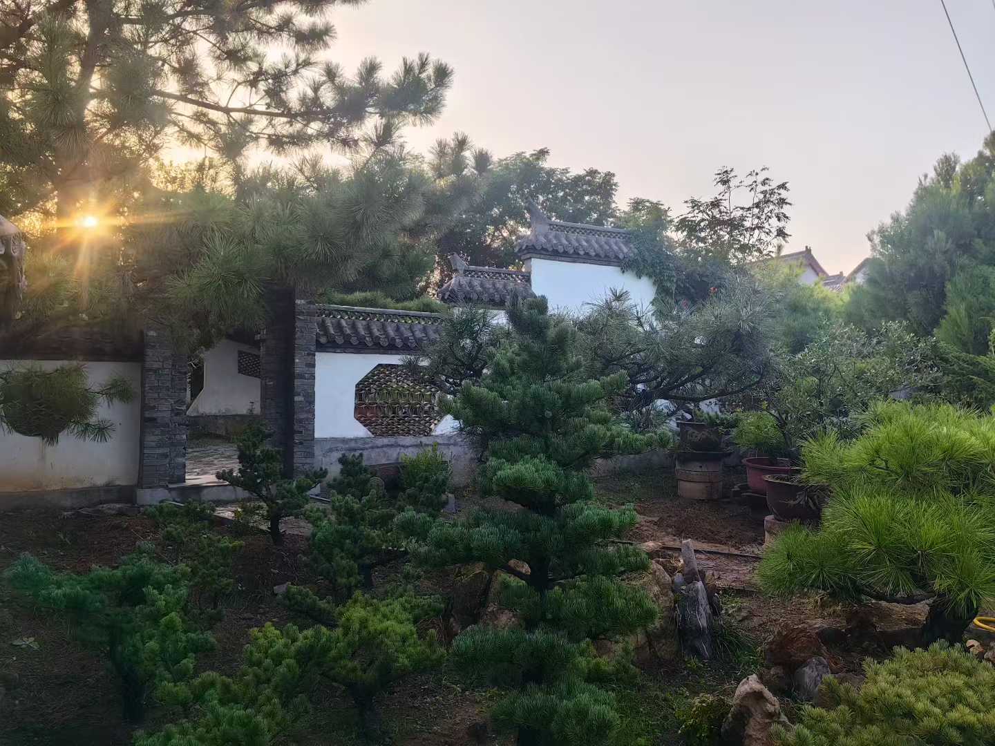 微信图片_2025-09-27_090002_432.jpg