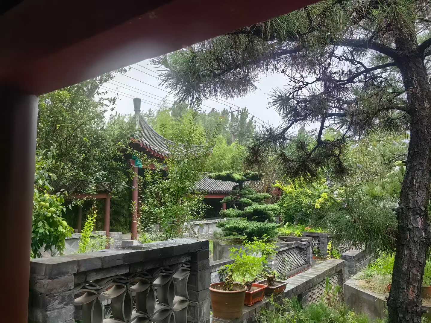 微信图片_2025-09-27_090033_576.jpg