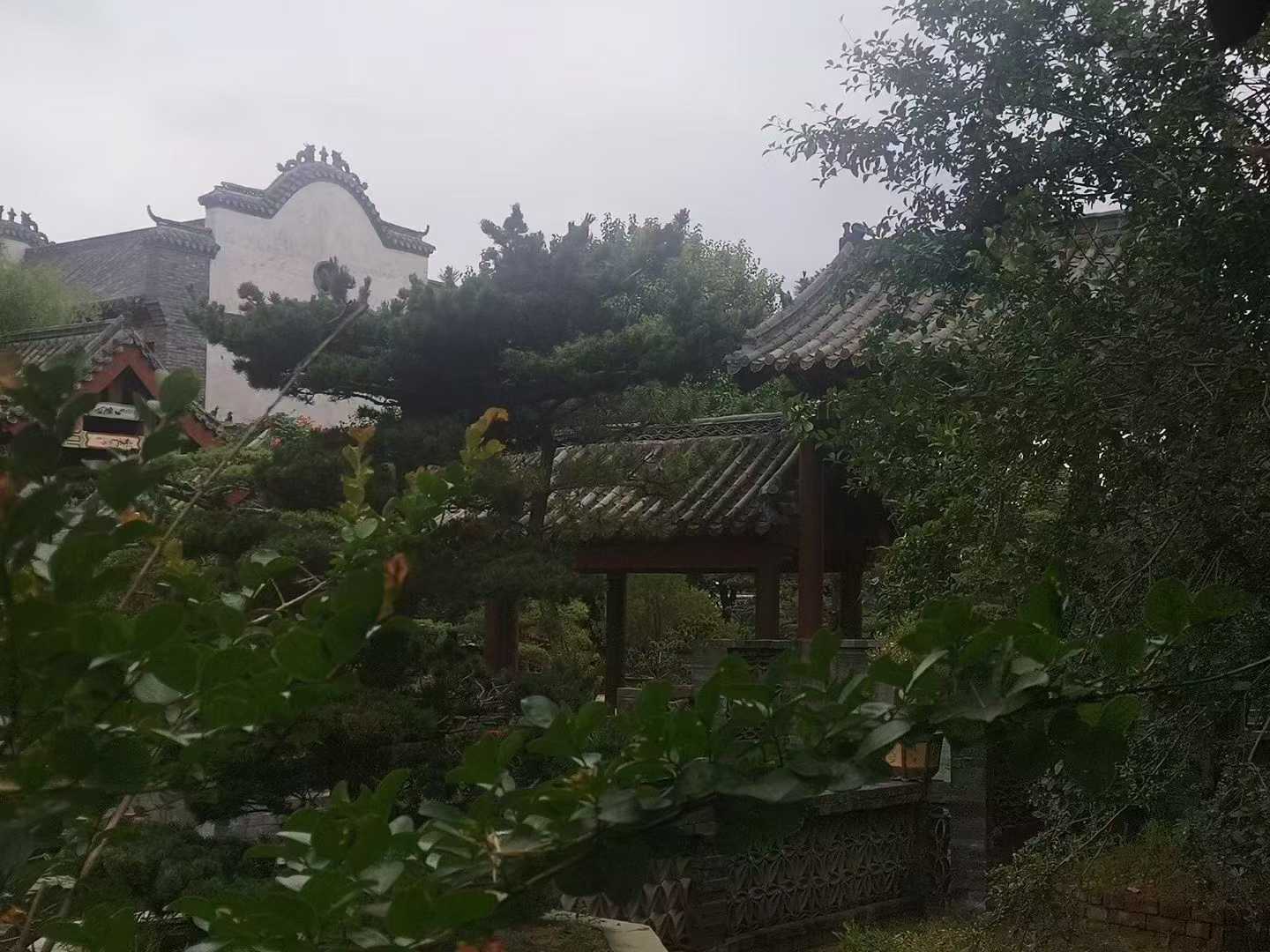 微信图片_2025-09-27_090050_712.jpg