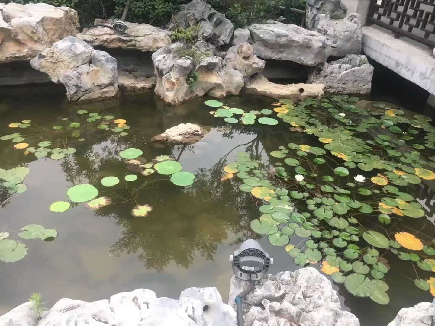 微信图片_2025-09-27_090119_384.jpg