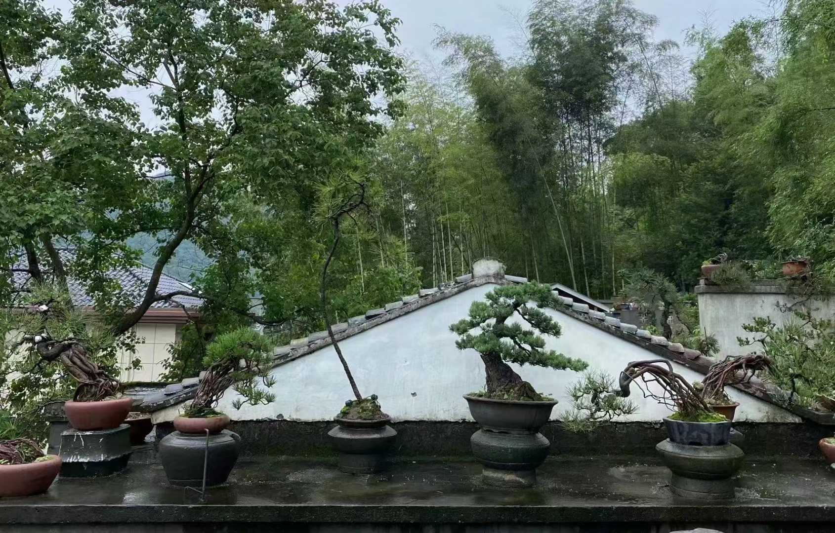 微信图片_2025-09-27_090817_673.jpg