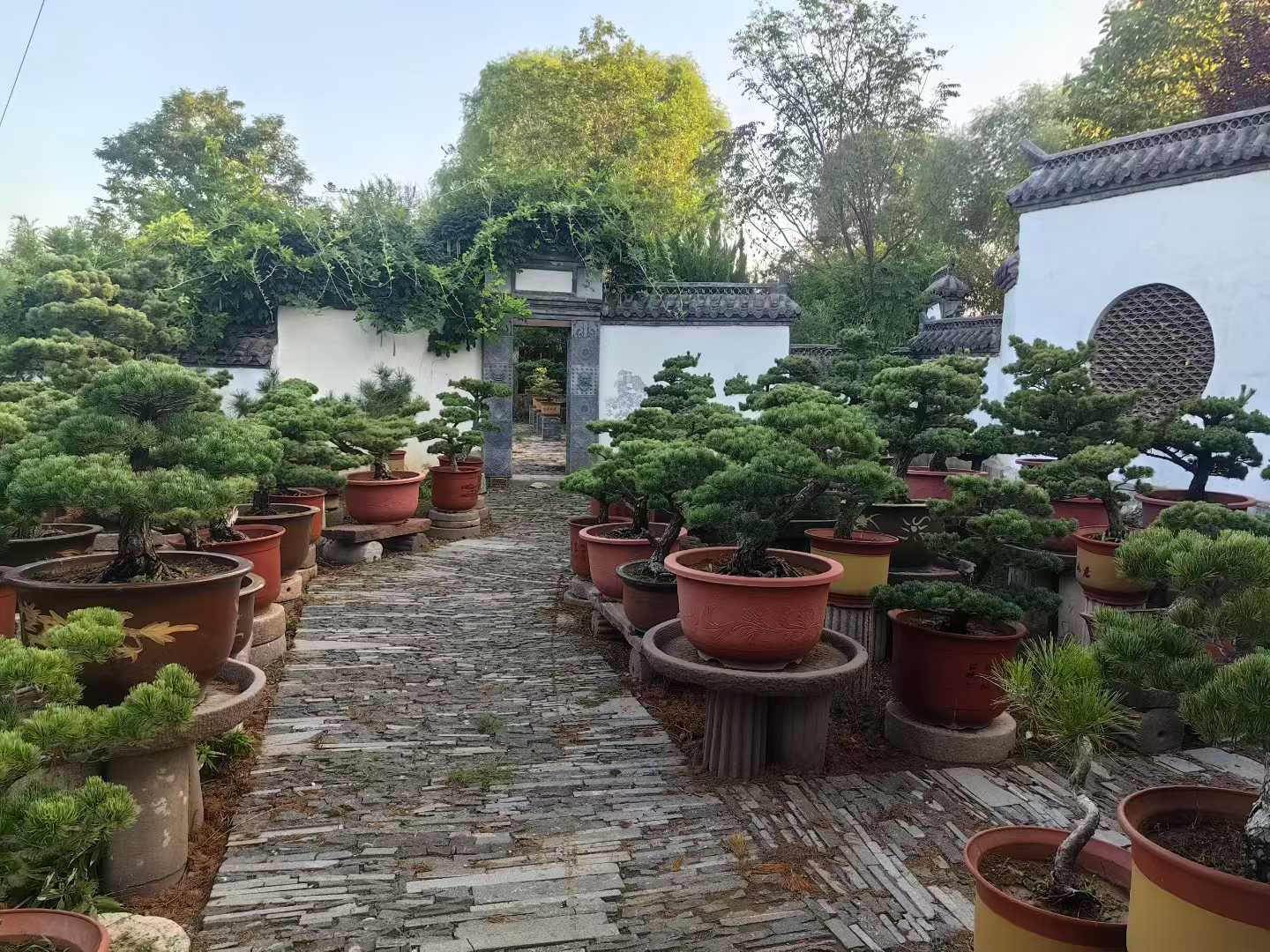 微信图片_2025-09-27_090911_497.jpg