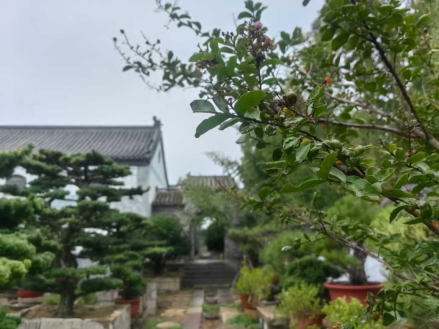 微信图片_2025-09-27_090909_561.jpg