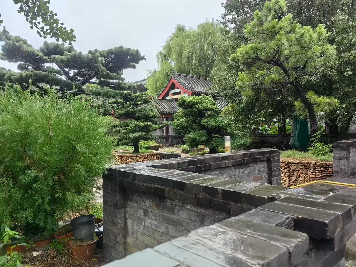 微信图片_2025-09-27_090828_736.jpg