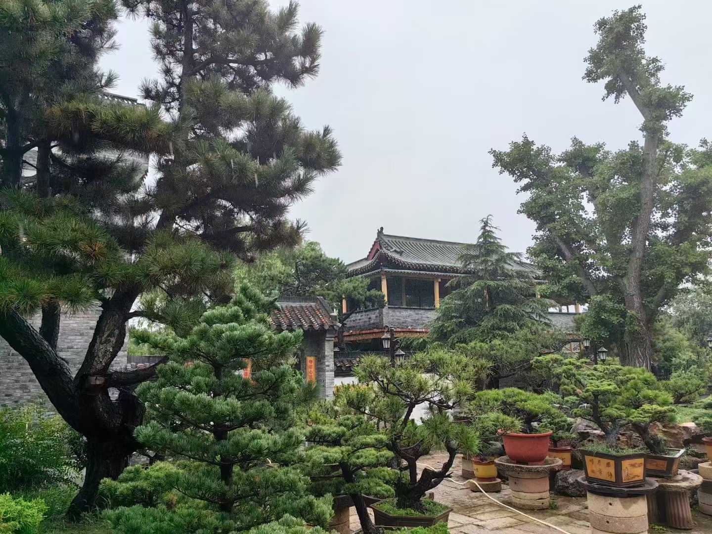 微信图片_2025-09-27_091117_997.jpg