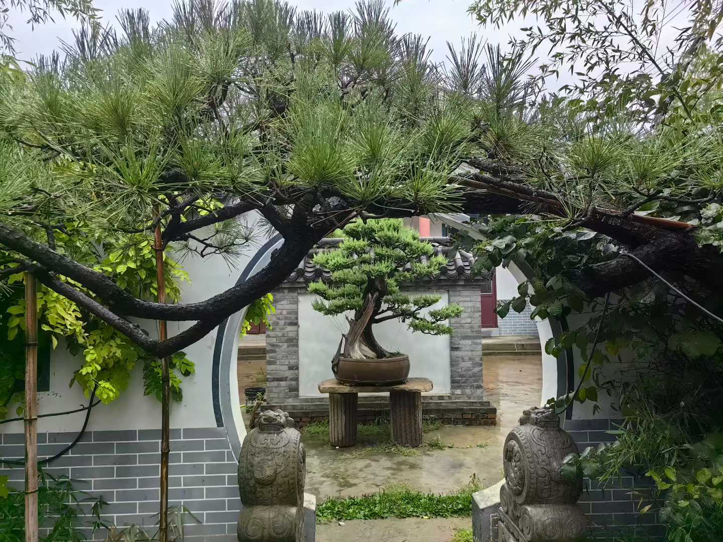 微信图片_2025-09-27_091144_905.jpg