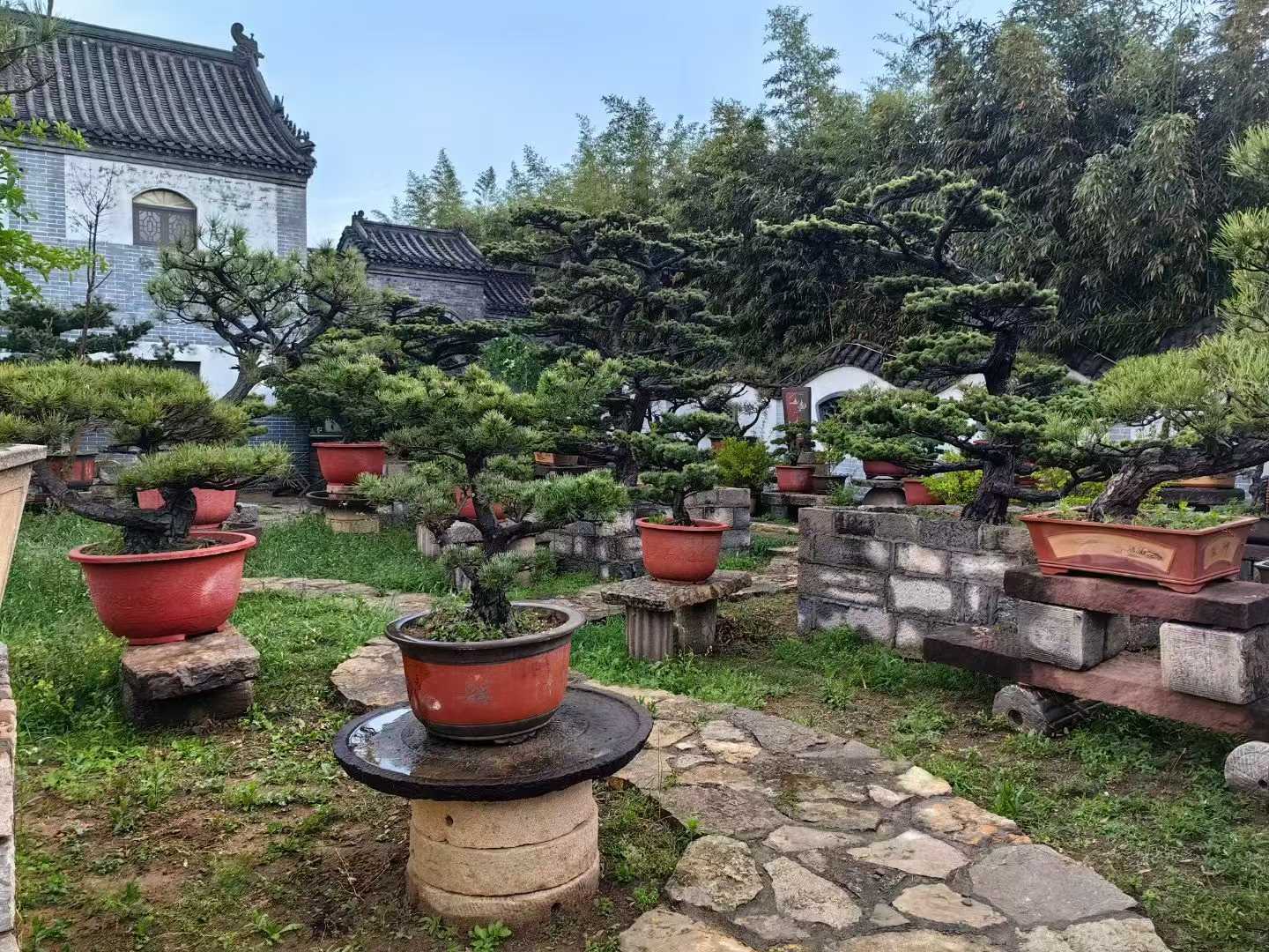 微信图片_2025-09-27_091137_552.jpg