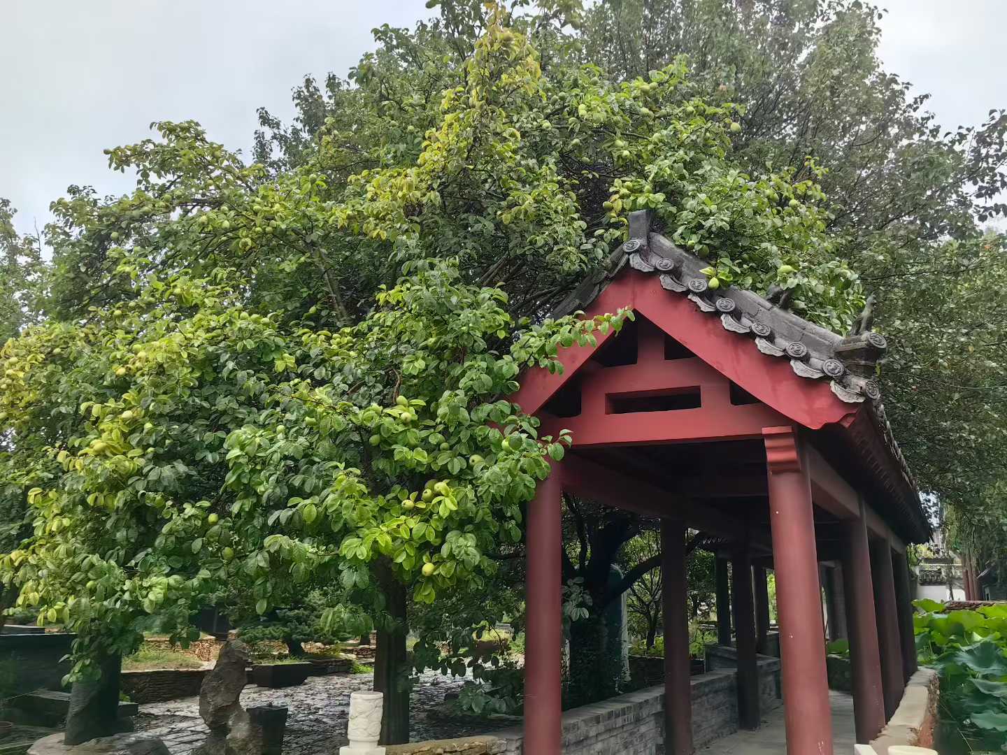 微信图片_2025-09-27_091153_473.jpg