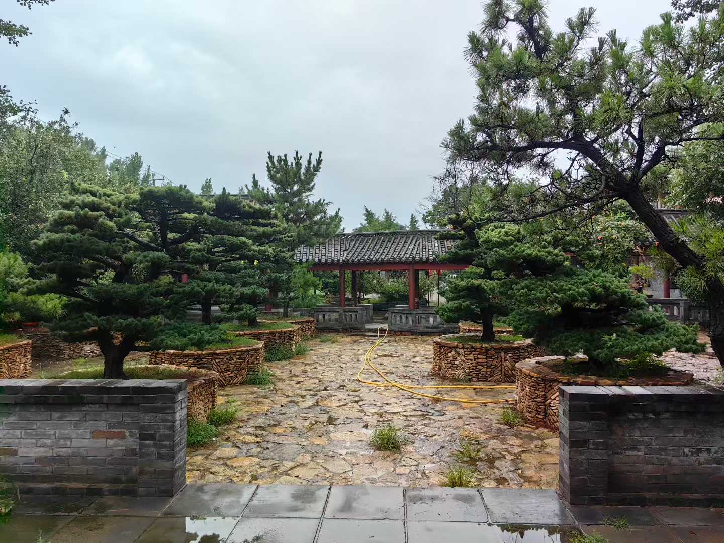 微信图片_2025-09-27_091151_425.jpg