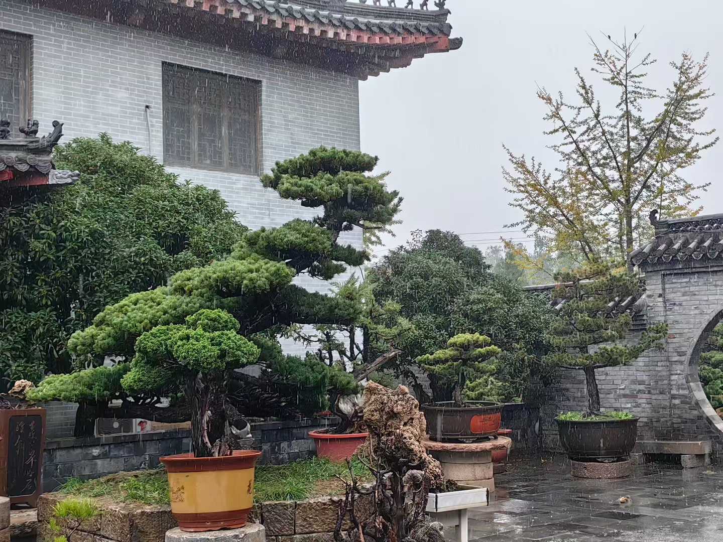 微信图片_2025-09-27_085714_385.jpg