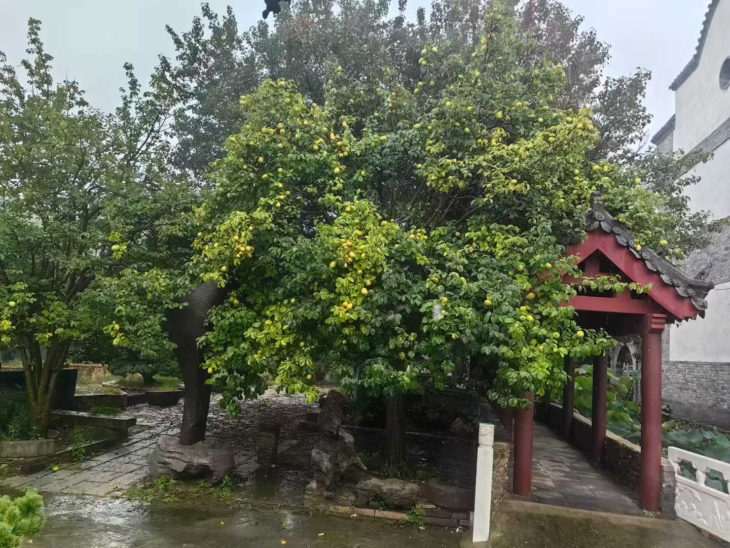微信图片_2025-09-27_085732_968.jpg