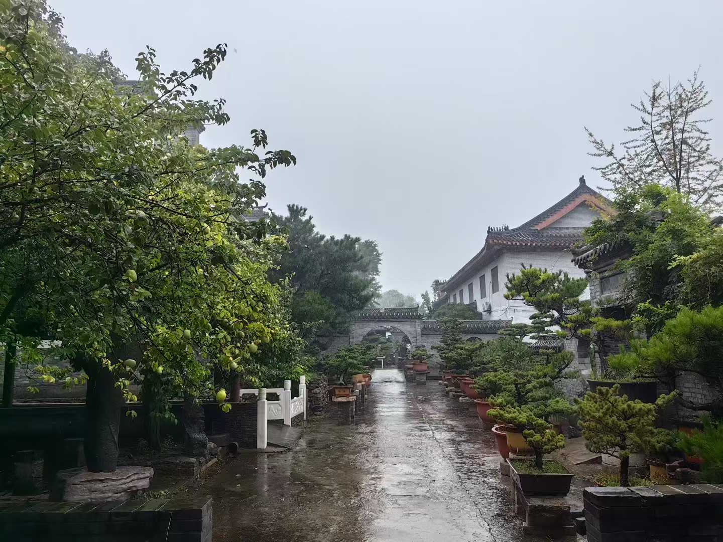 微信图片_2025-09-27_085736_976.jpg