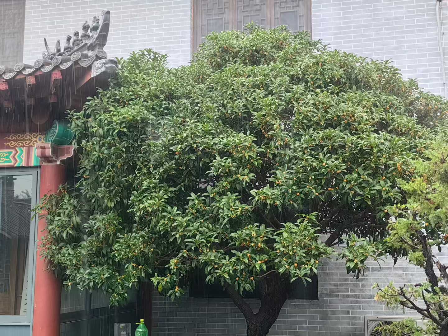 微信图片_2025-09-27_085740_568.jpg