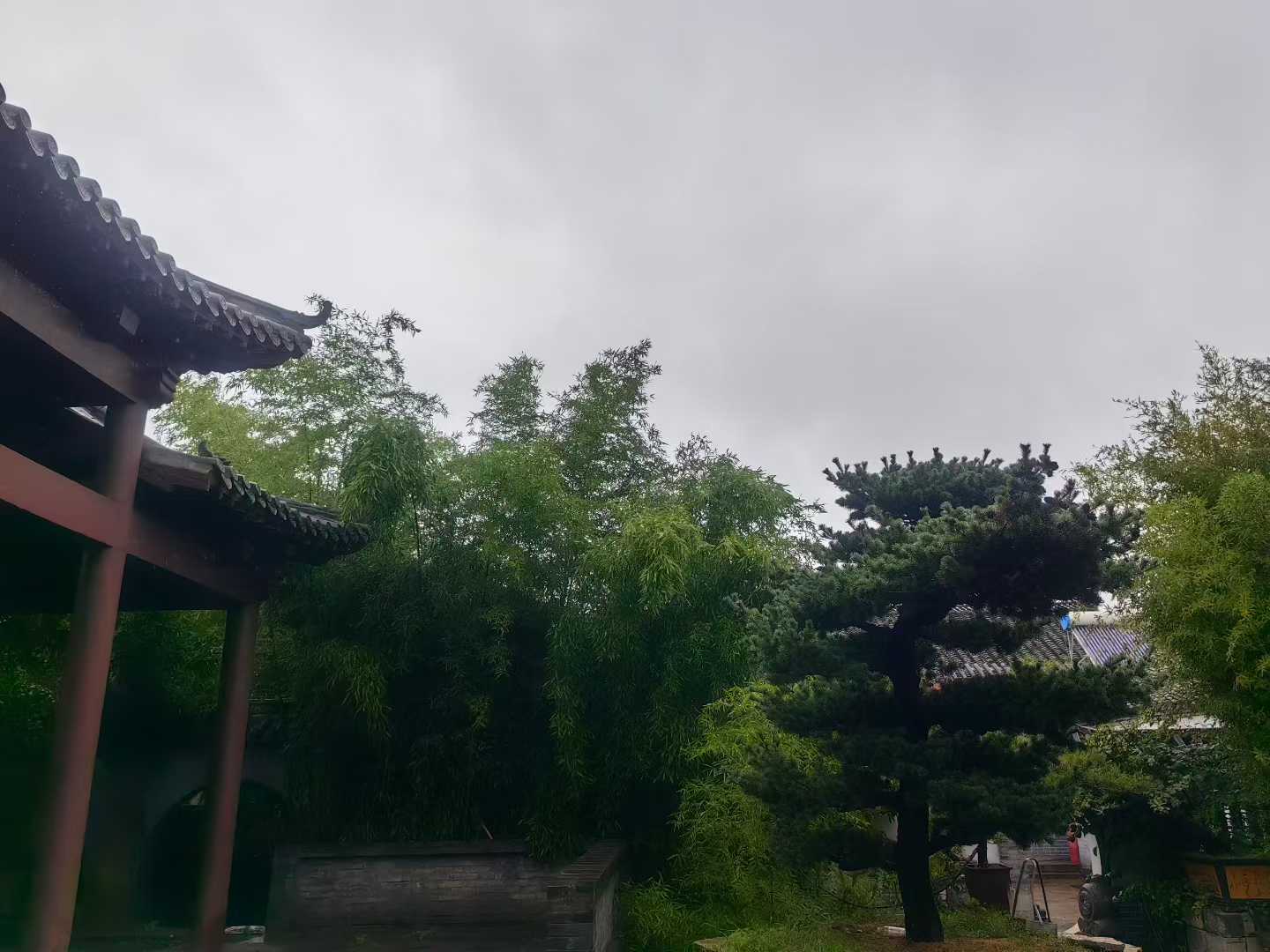 微信图片_2025-09-27_085947_232.jpg