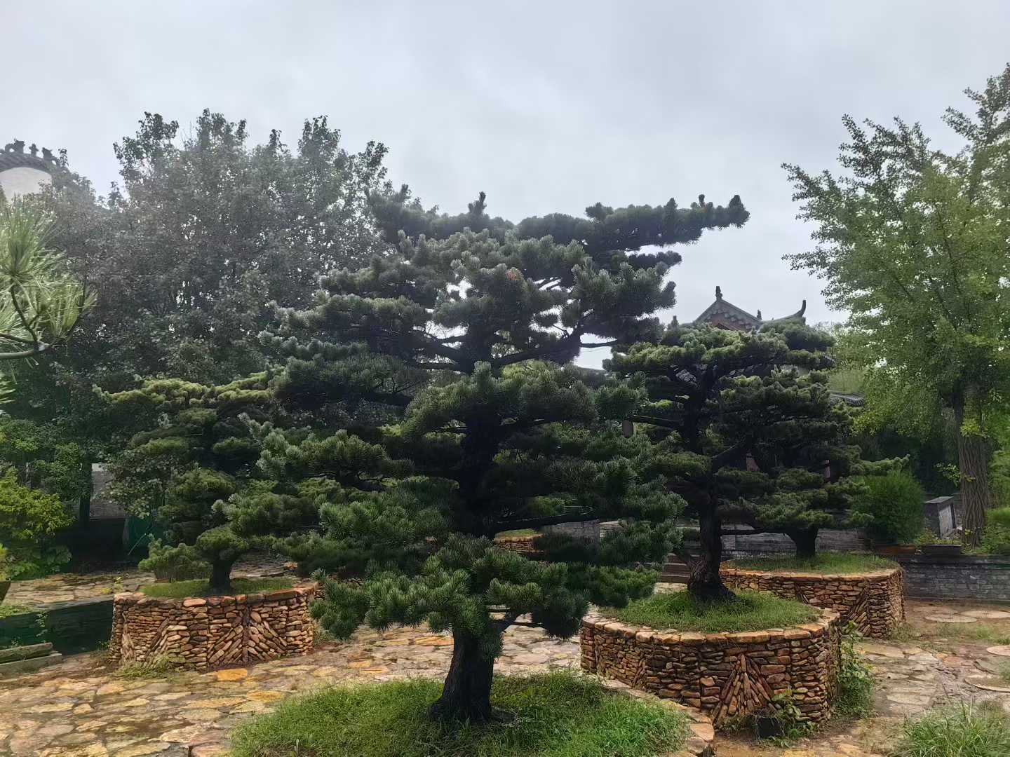 微信图片_2025-09-27_085950_320.jpg