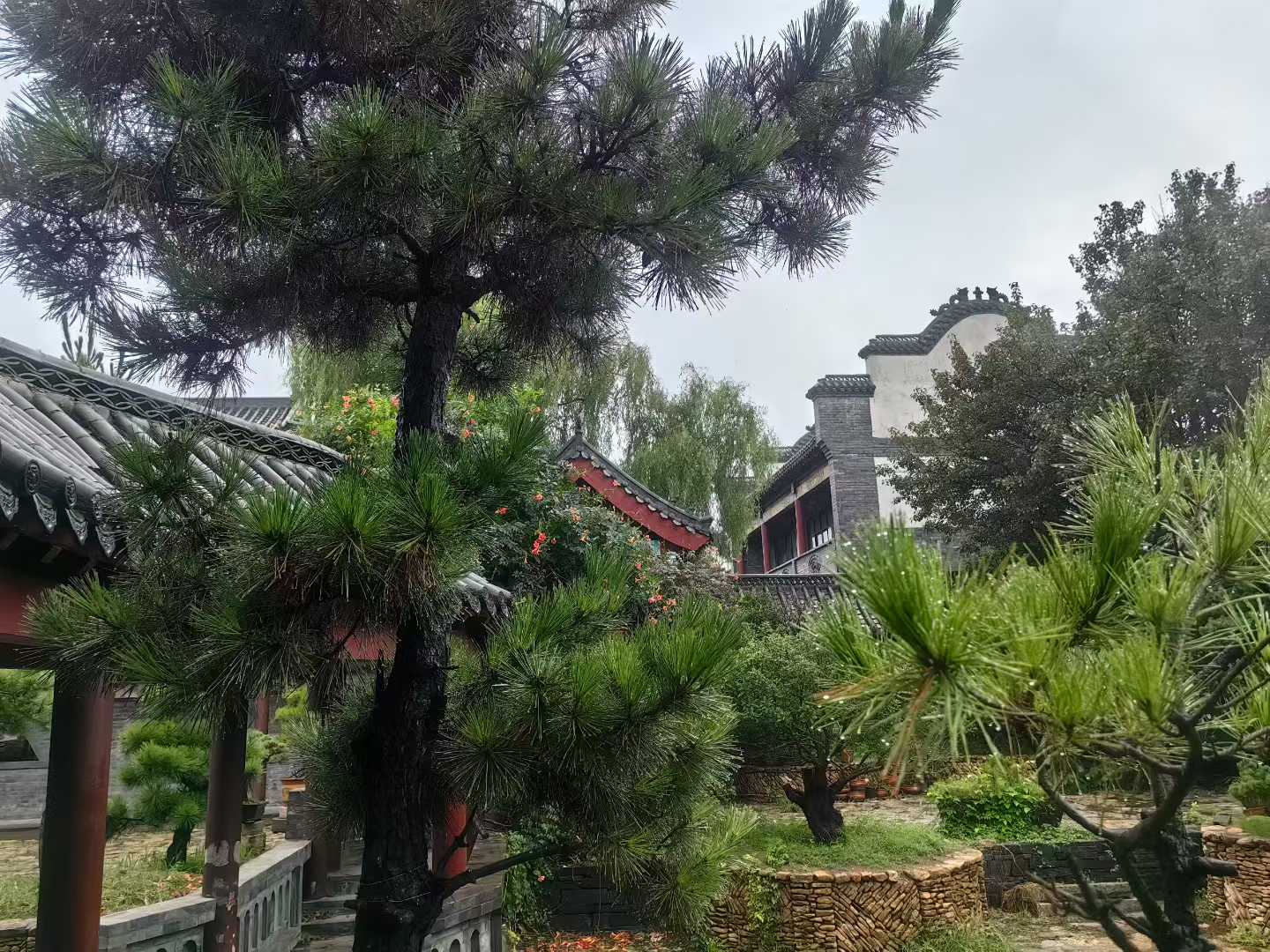 微信图片_2025-09-27_085953_368.jpg