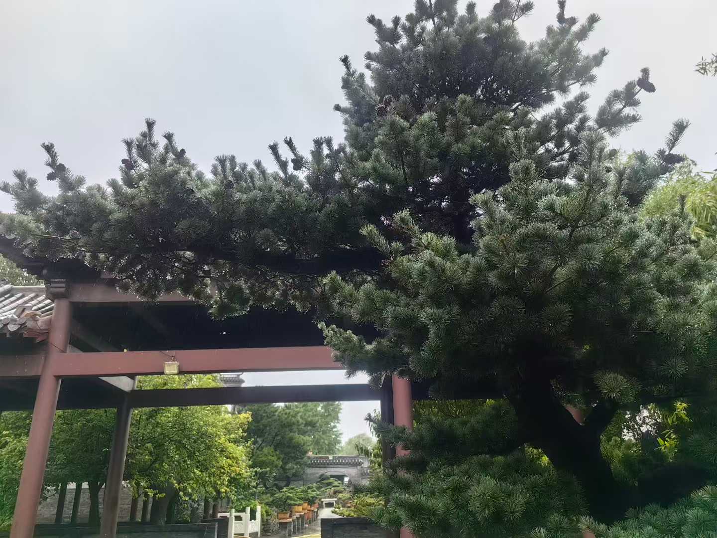 微信图片_2025-09-27_085959_600.jpg