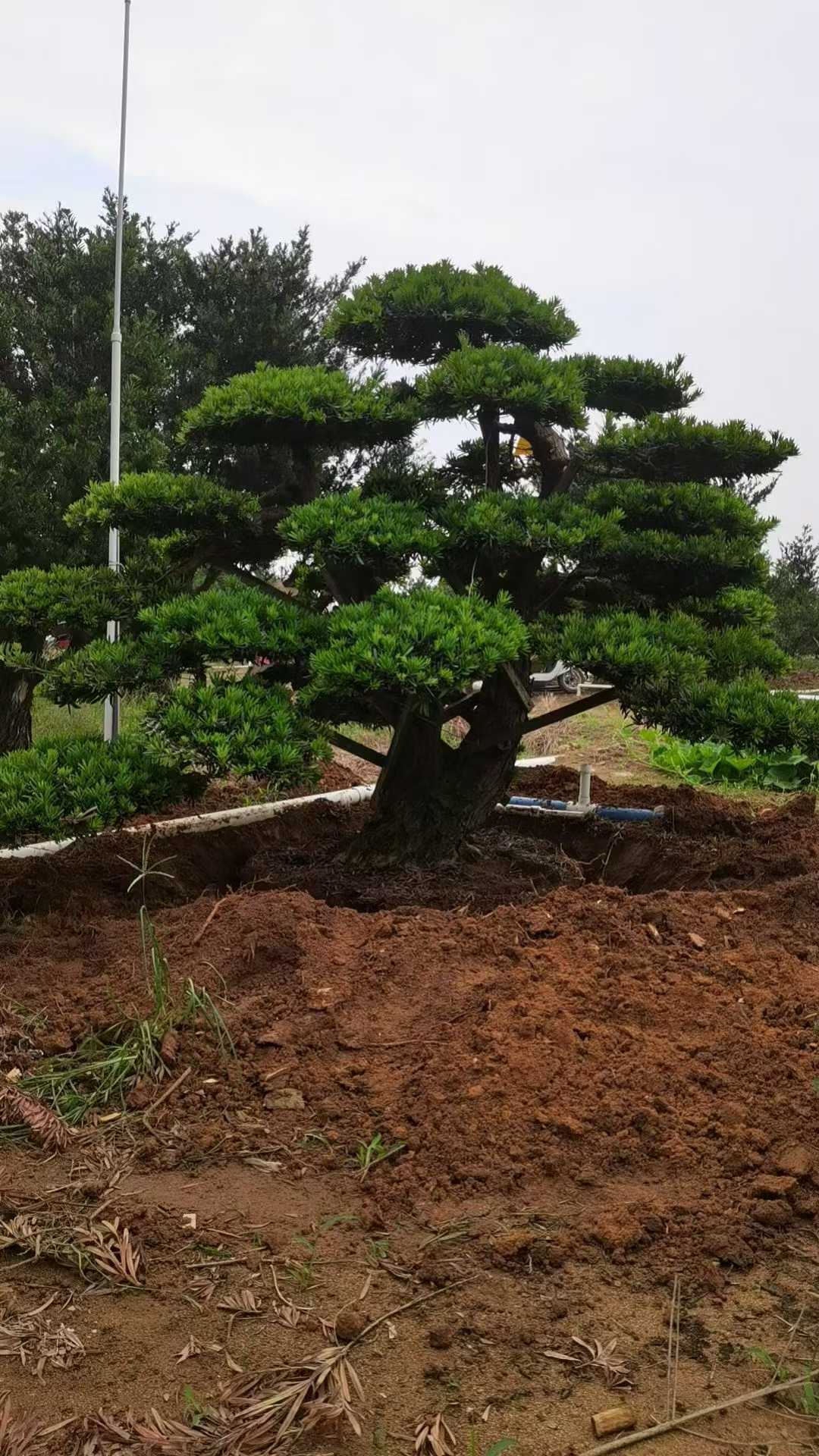 微信图片_2025-09-27_090040_279.jpg