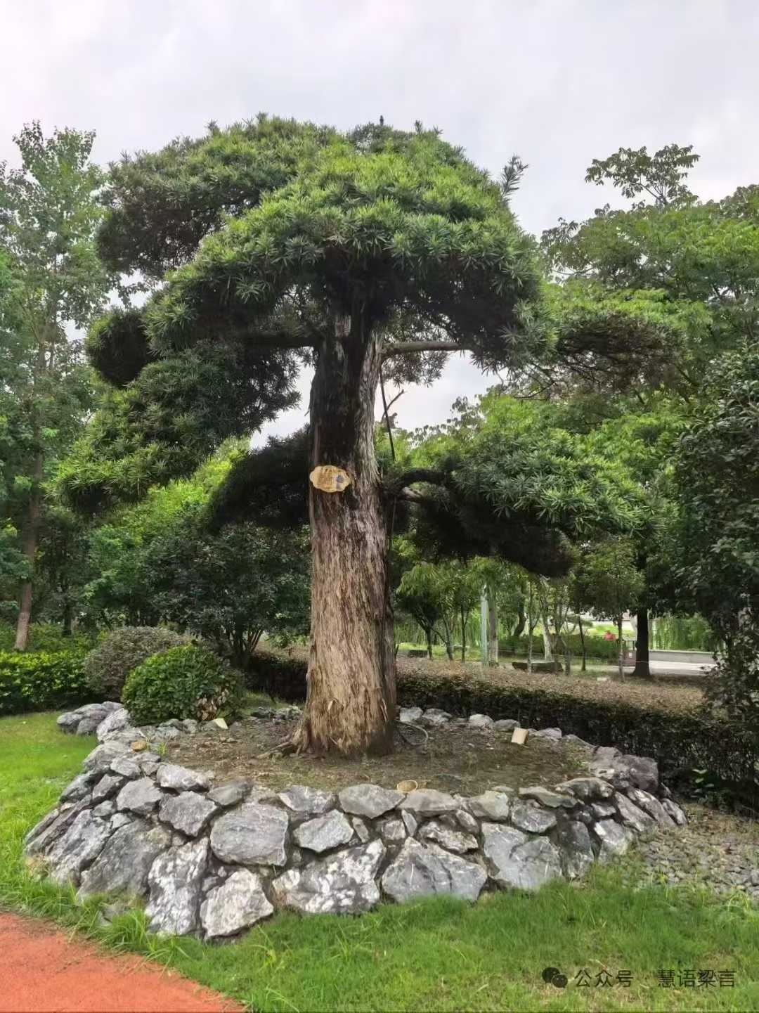 微信图片_2025-09-27_090205_576.jpg