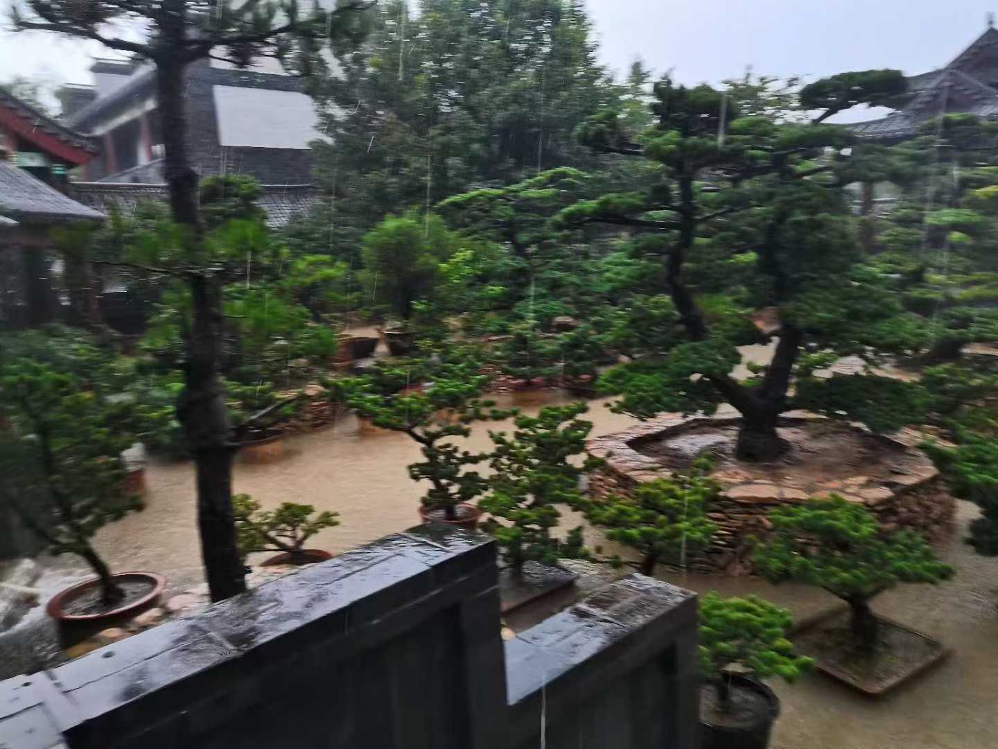 微信图片_2025-09-27_090450_081.jpg