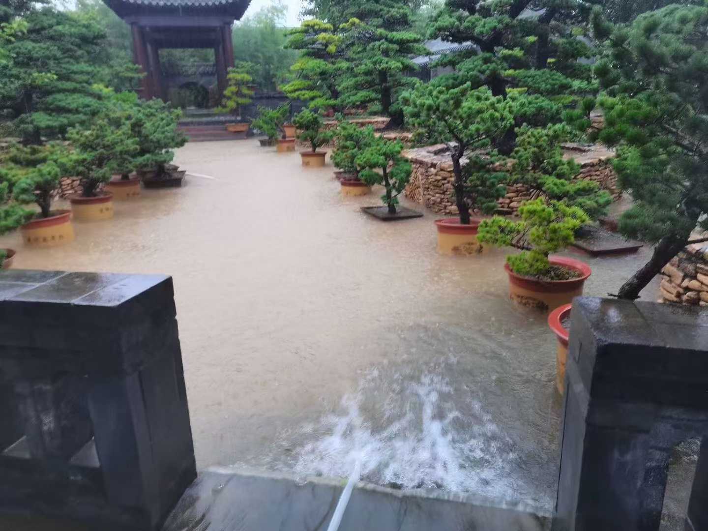 微信图片_2025-09-27_090551_775.jpg