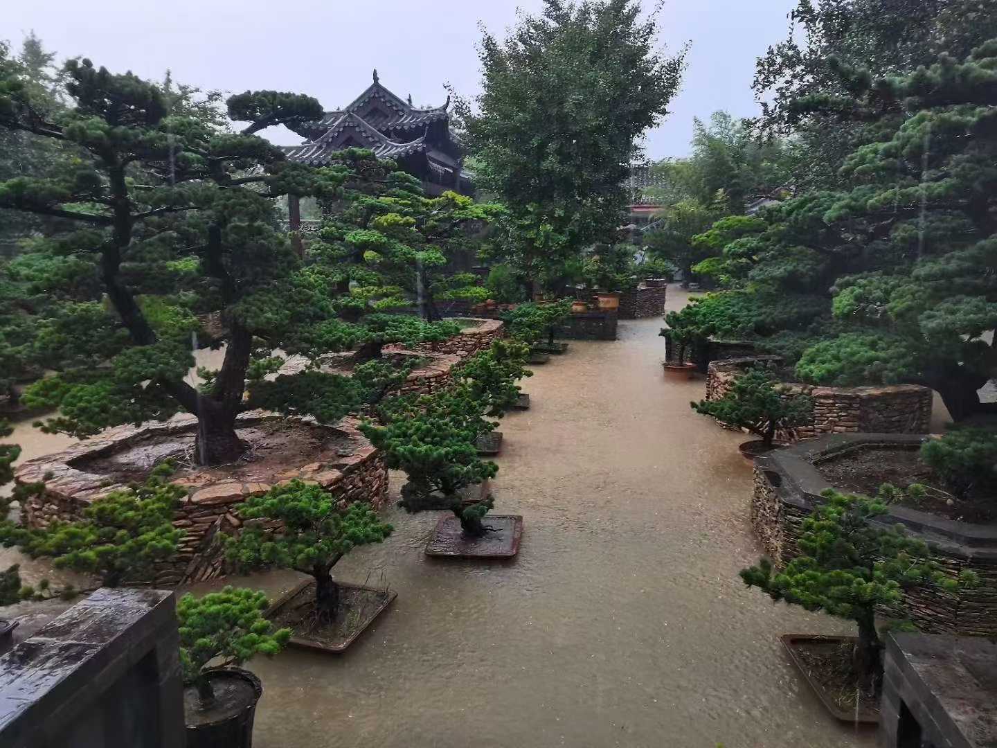 微信图片_2025-09-27_090554_712.jpg