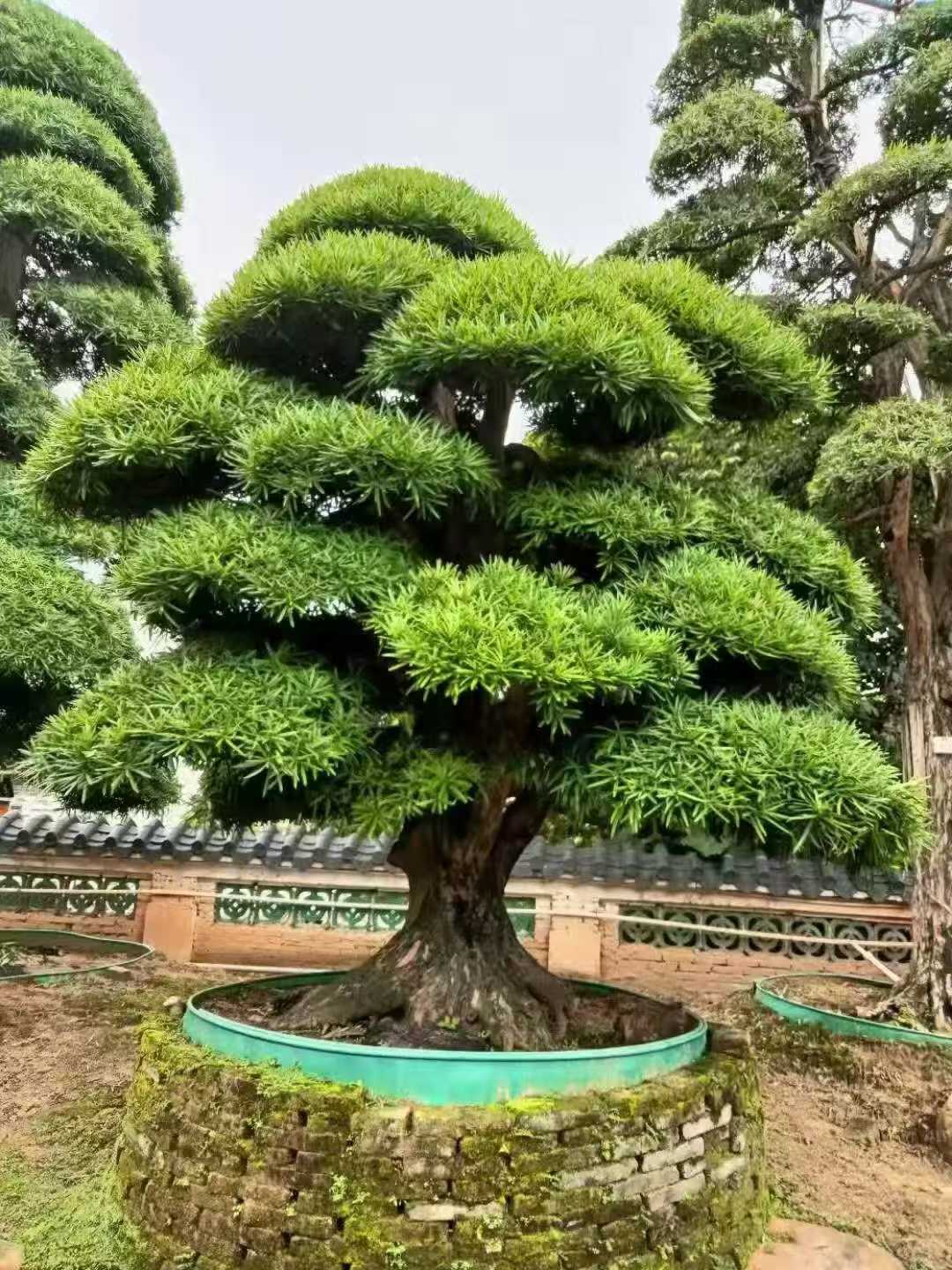 微信图片_2025-09-27_090735_552.jpg