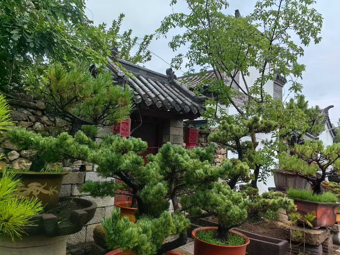 微信图片_2025-09-27_090741_417.jpg