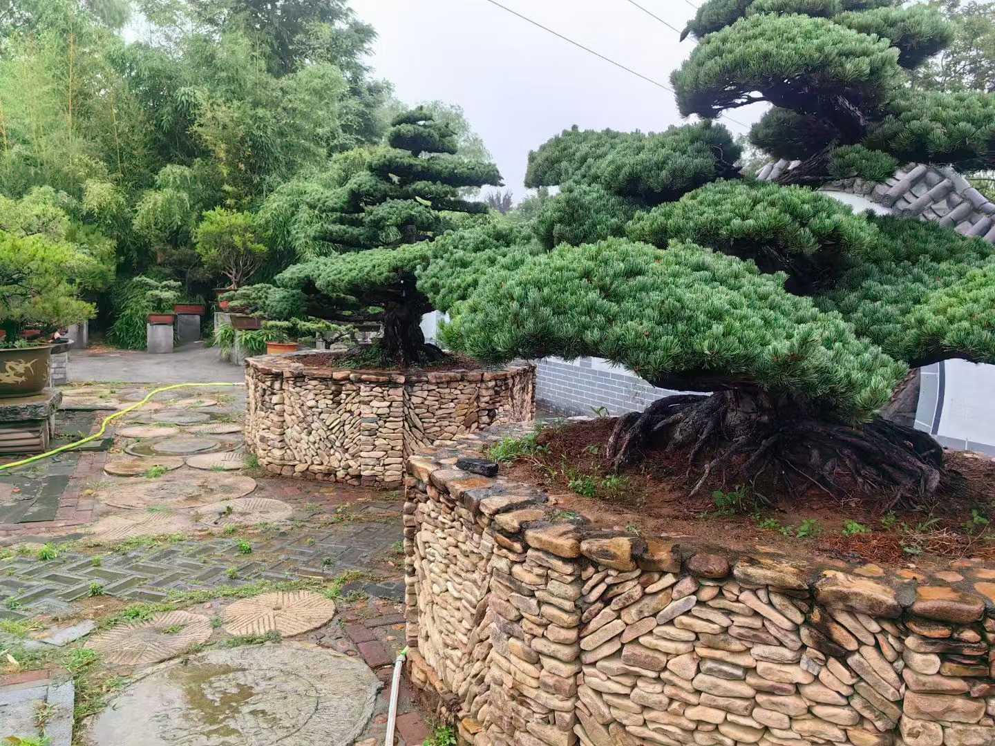 微信图片_2025-09-27_090743_624.jpg