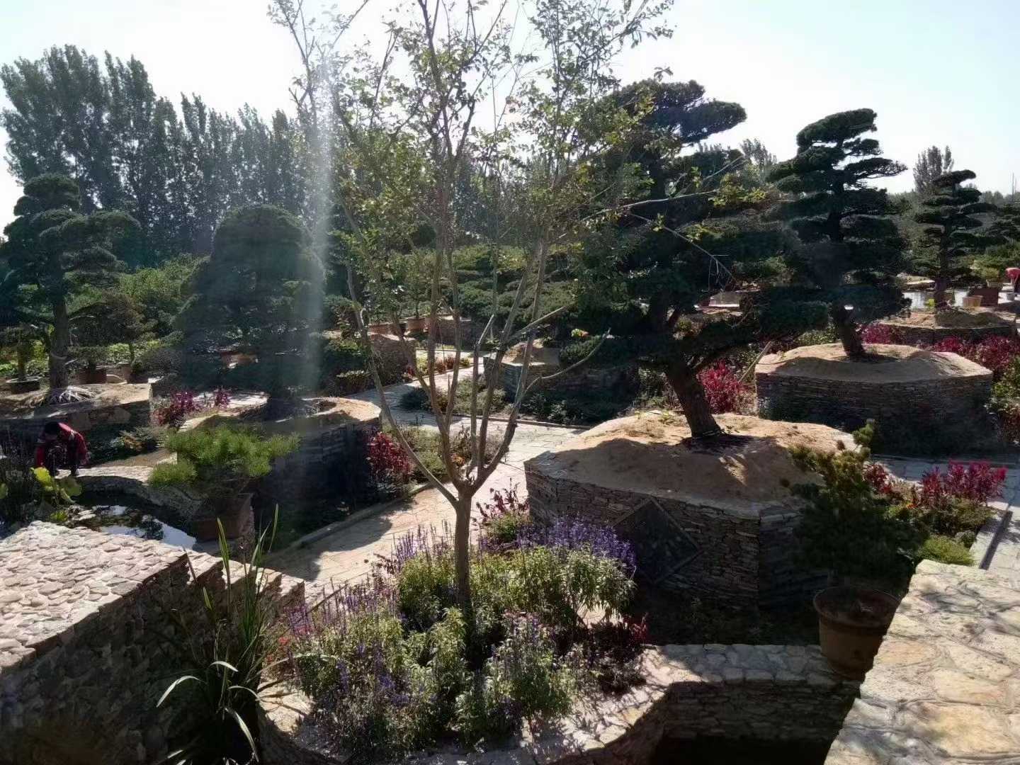 微信图片_2025-09-27_091111_441.jpg