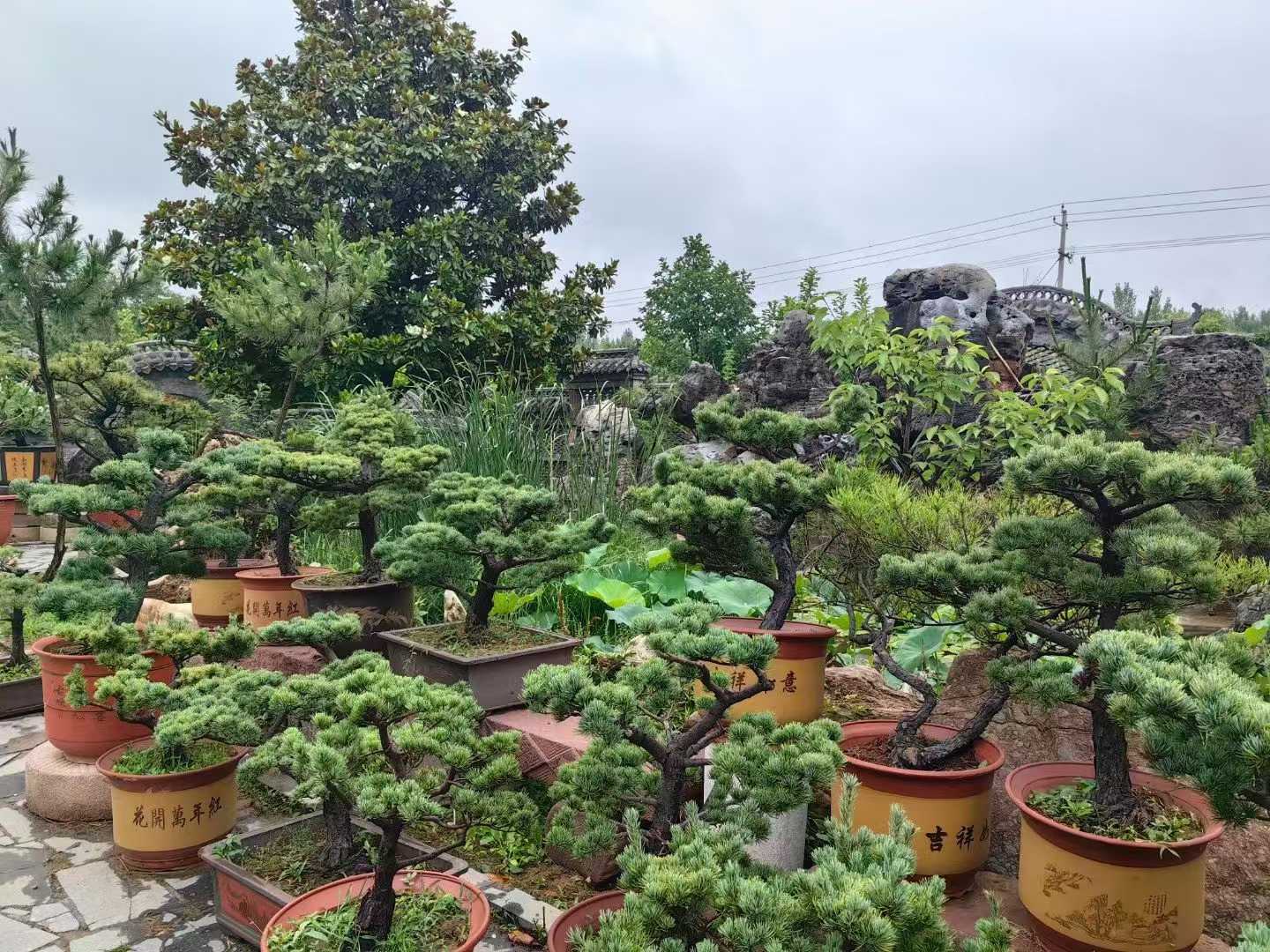 微信图片_2025-09-27_091115_937.jpg