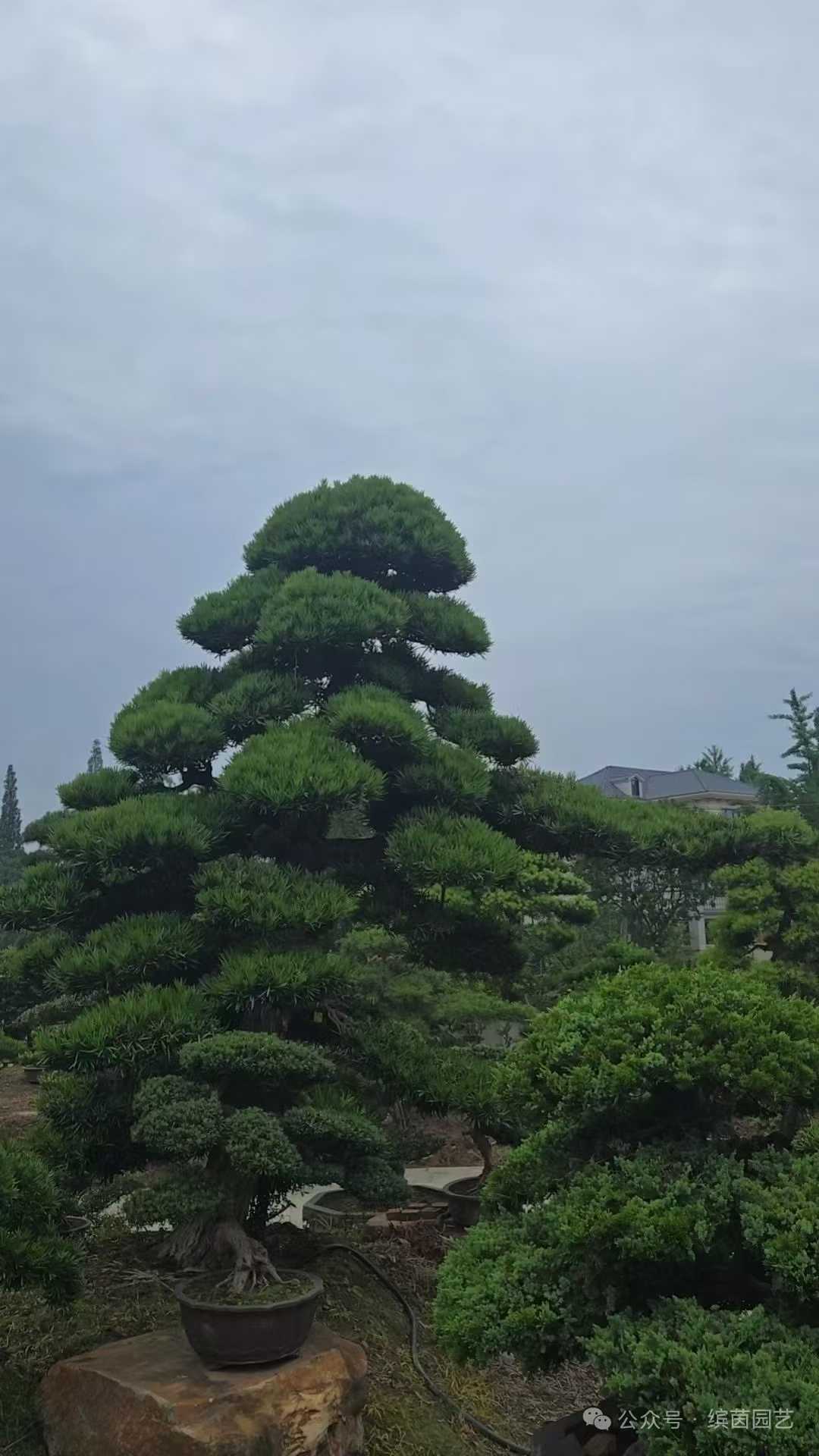 微信图片_2025-09-27_091253_536.jpg