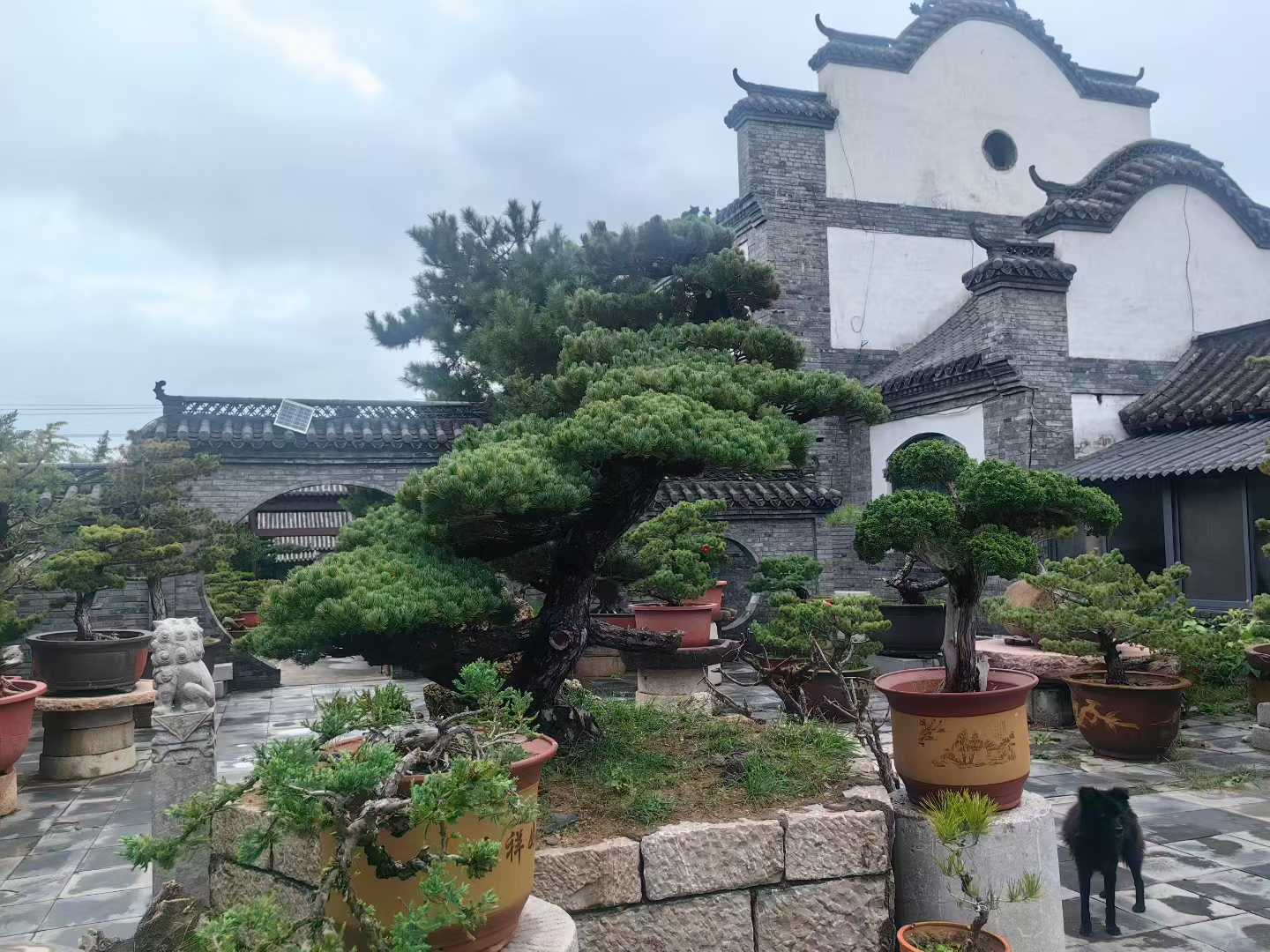 微信图片_2025-09-29_090802_204.jpg
