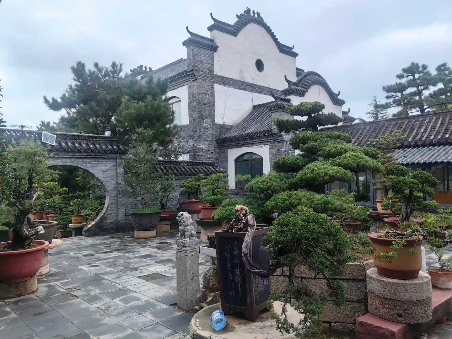 微信图片_2025-09-29_090812_275.jpg