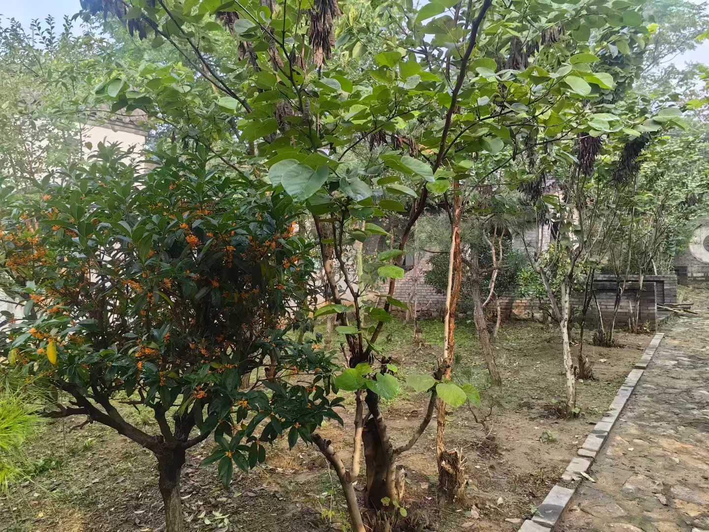 微信图片_2025-09-29_090918_091.jpg