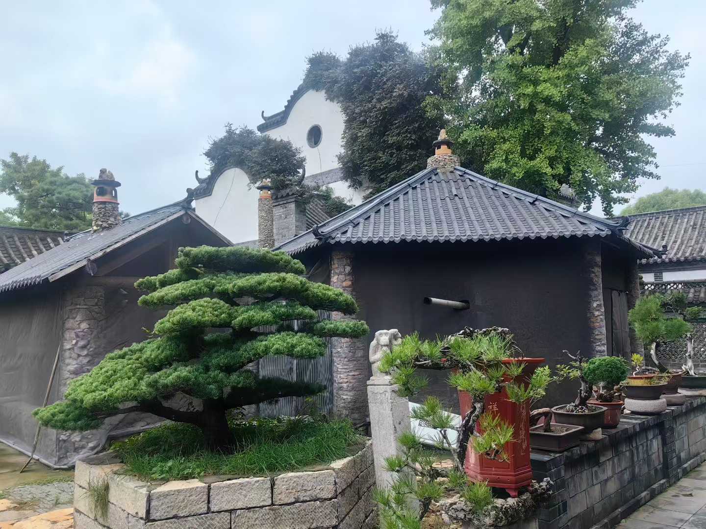 微信图片_2025-09-29_090819_100.jpg