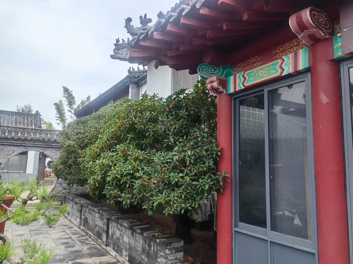 微信图片_2025-09-29_090821_612.jpg