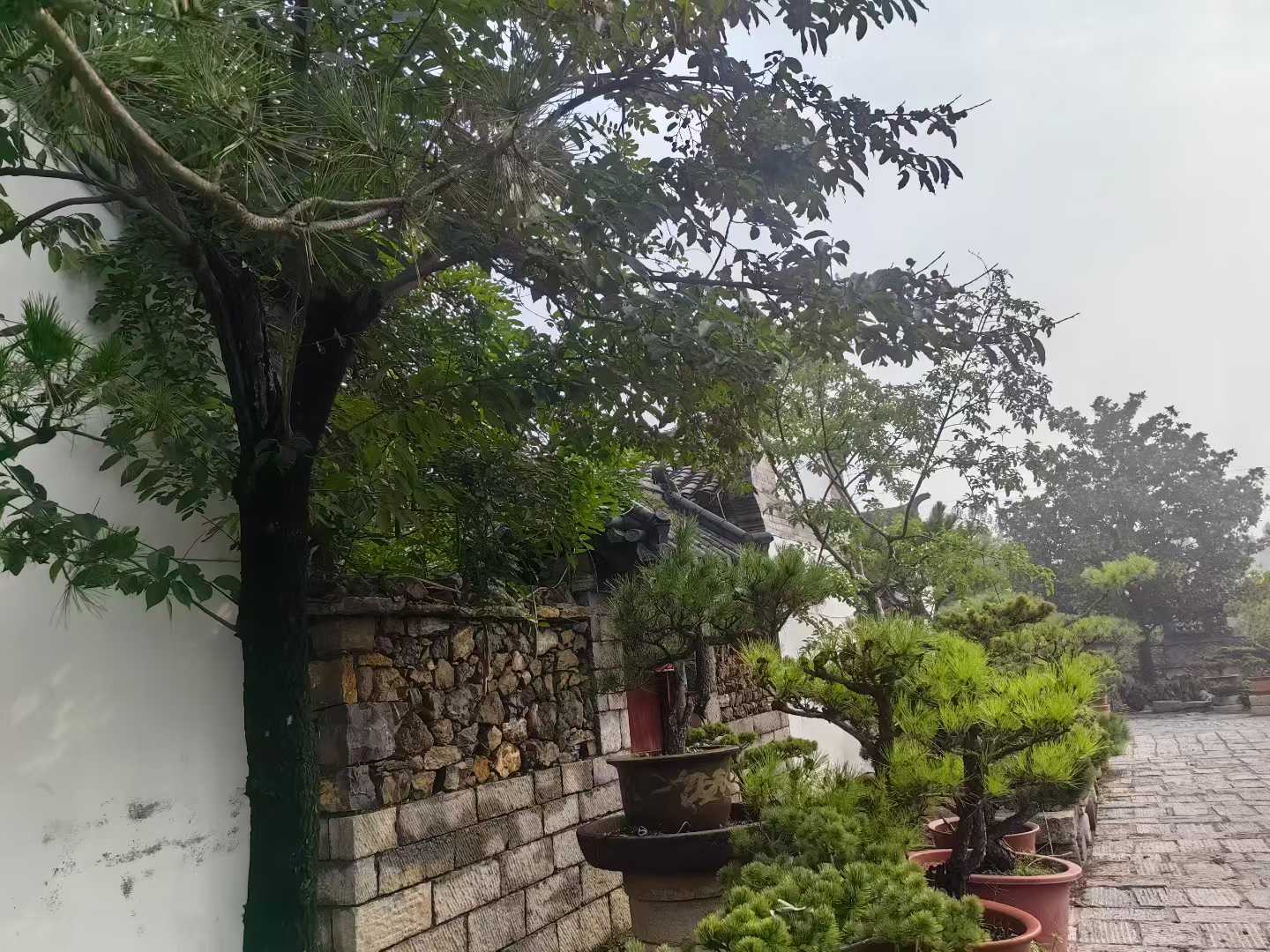 微信图片_2025-09-29_090911_043.jpg