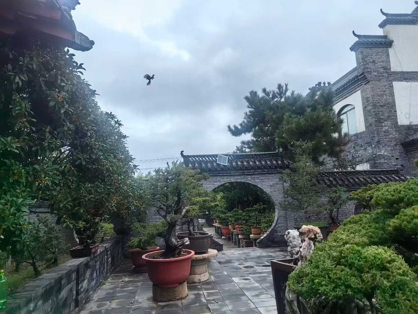 微信图片_2025-09-29_090824_171.jpg