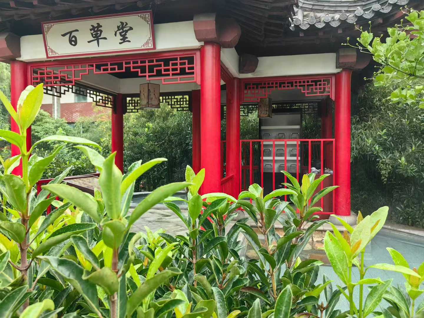微信图片_2025-09-29_091517_554.jpg