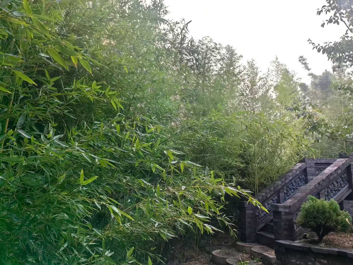微信图片_2025-09-29_090928_404.jpg