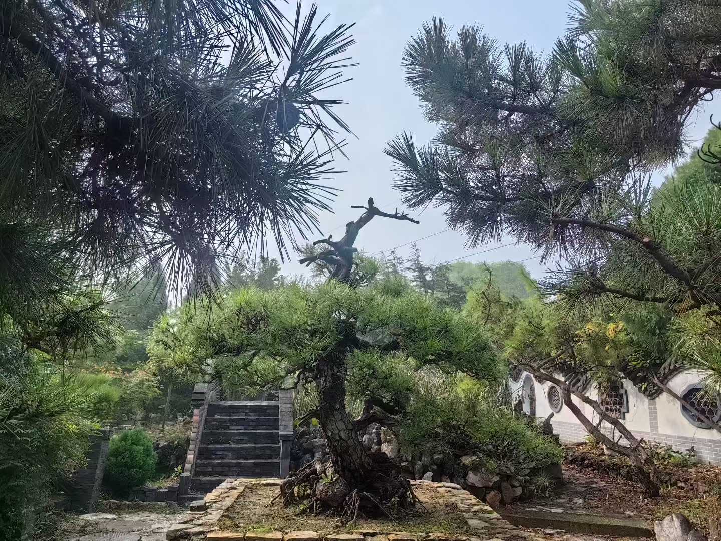 微信图片_2025-09-29_090935_444.jpg