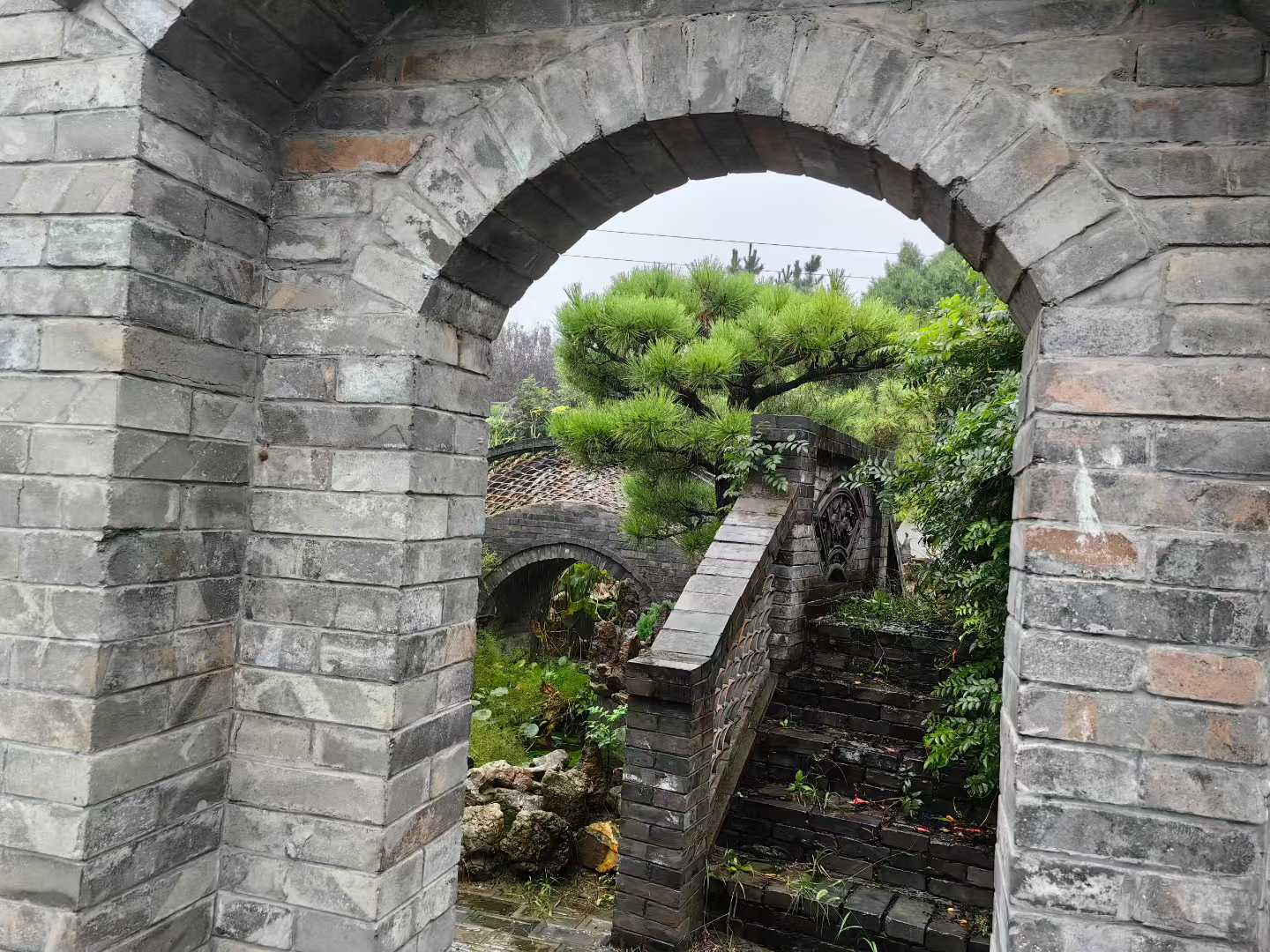 微信图片_2025-09-29_091557_905.jpg