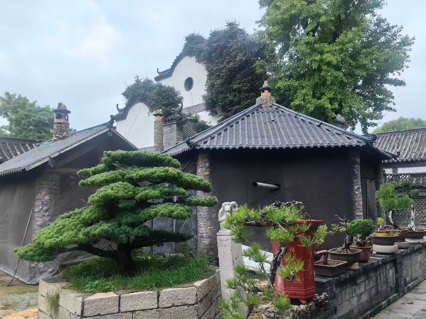 微信图片_2025-09-29_092041_369.jpg