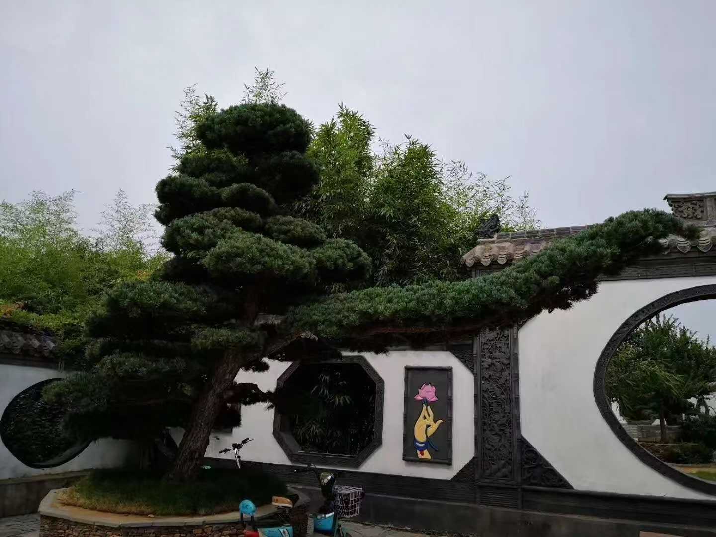 微信图片_2025-10-15_212858_269.jpg
