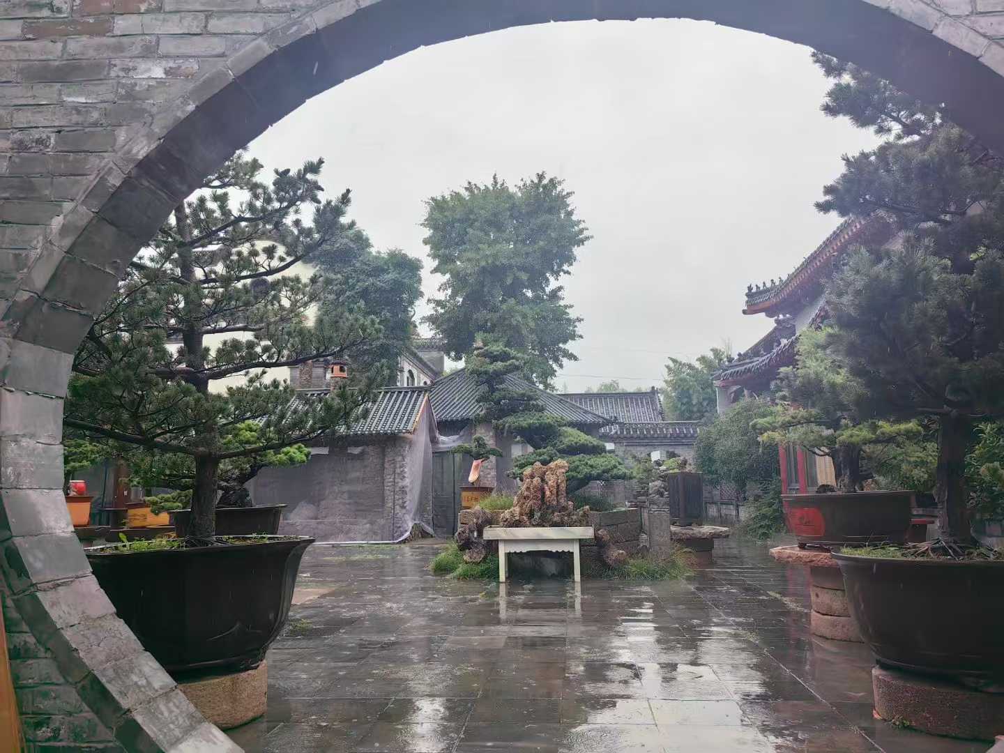 微信图片_2025-10-15_212900_524.jpg
