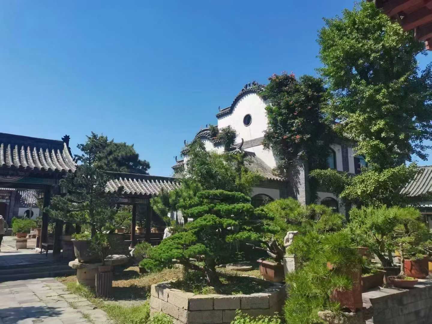 微信图片_2025-10-15_212907_774.jpg